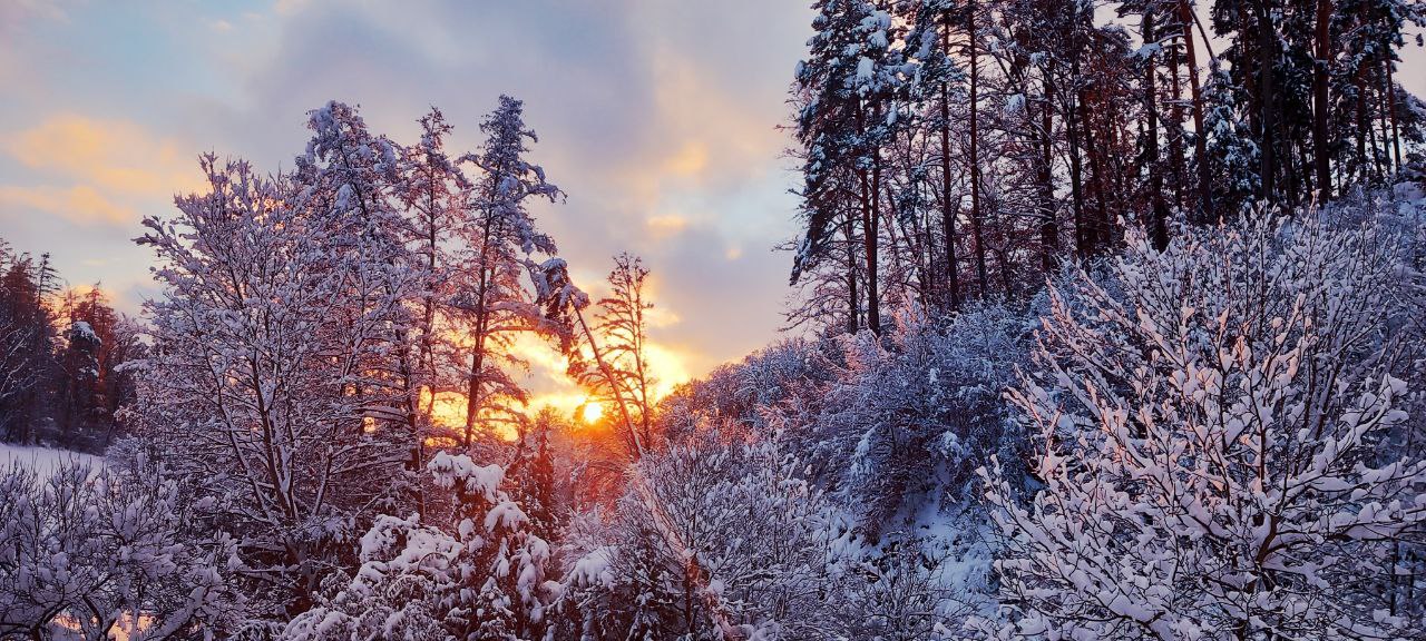 Winterpause 🌨️❄️☃️⛷️